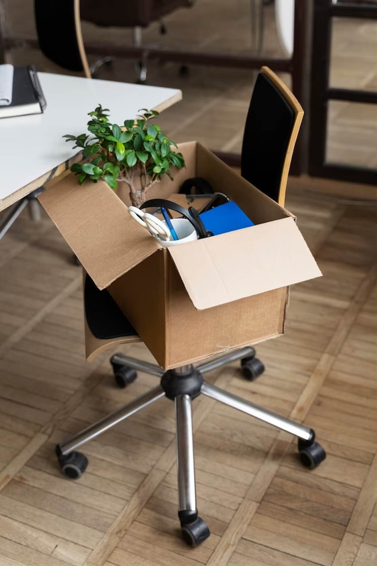 carton de déménagement de bureau